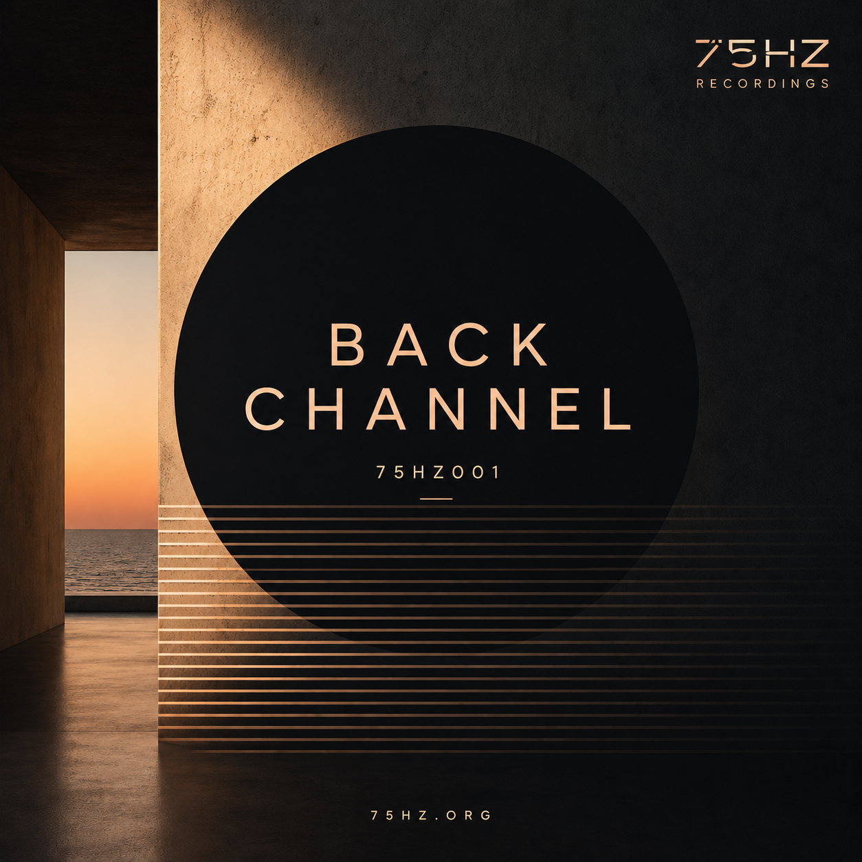 Back Channels artwork